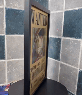 One piece Anime 5D Poster