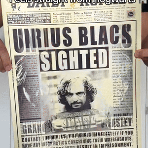 Harry potter image flip poster